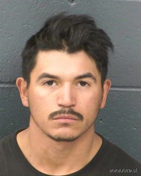 Saul  Villalobos Mugshot