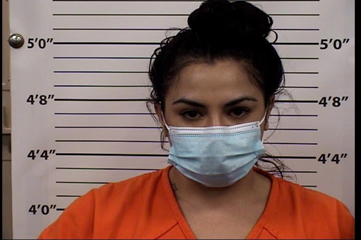 Sonia Patricia Diaz-gutierrez Mugshot