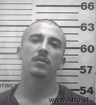 Samuel  Gallegos Mugshot