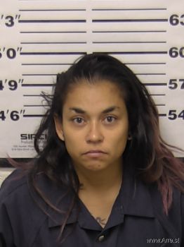 Sarah  Martinez Mugshot