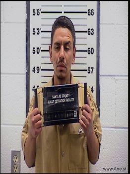 Sean Michael Gallegos Mugshot