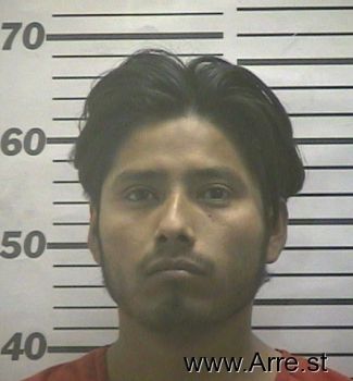 Sebastian  Hernandez Mugshot