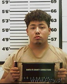 Sergio  Castillo-hun Mugshot