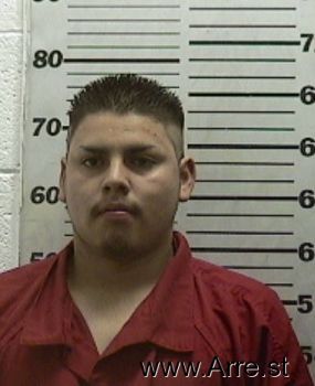 Sergio  Garcia-flores Mugshot