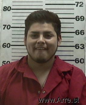 Sergio  Garcia-flores Mugshot