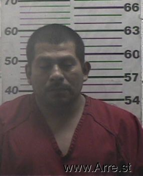 Sergio  Hernandez Mugshot