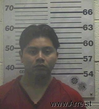 Sergio  Perez Mugshot