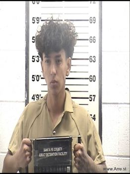 Sergio Adrian Perez-acosta Mugshot