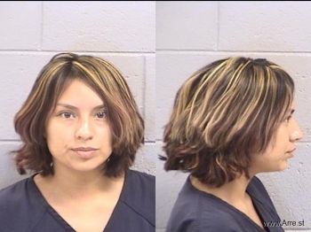 Shanna  Castillo Mugshot