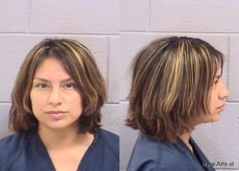 Shanna  Castillo Mugshot