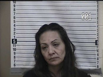 Shauna Marie Ellsworth Mugshot