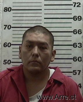 Shawn  Martinez Mugshot