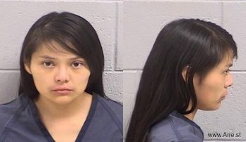 Shawna Lyn Lee Begay Mugshot