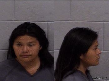 Shawna Lyn Lee Begay Mugshot