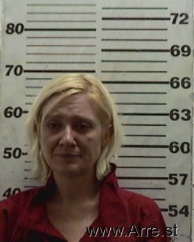 Shawna  Owens Mugshot