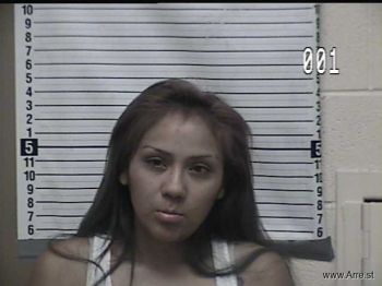 Sherie Elaine Crazythunder Mugshot