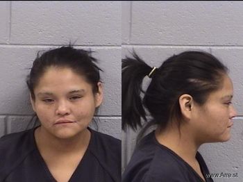 Sherry Kim Benally Mugshot