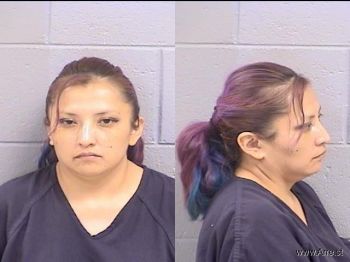 Sherry Ann Thomas Mugshot