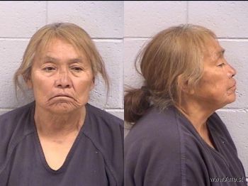 Shirley Sherridy Yazzie Mugshot