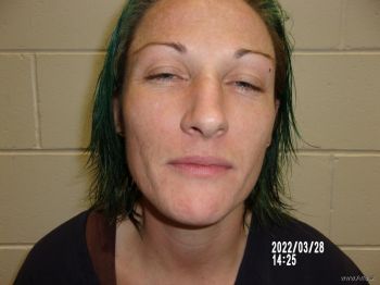 Shyler M Bailey Mugshot