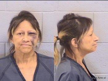 Stephanie Ann Jones Mugshot