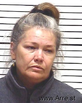 Susan Rae Collins Mugshot