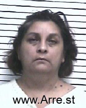 Sylvia  Acevedo Mugshot