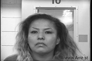 Tiffany Ann King Mugshot