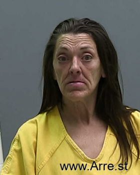 Tammy  Hudson Mugshot