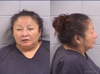 Tammy  Miller Mugshot