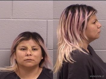 Tasheena Marlena Silentman Mugshot