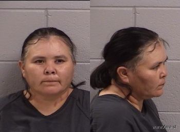 Terri Mary Nez Mugshot