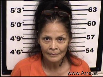 Terry Lynn Martinez Mugshot