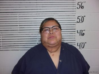 Terrye  Sandoval Mugshot