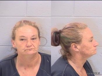 Tessa Lane Every Mugshot