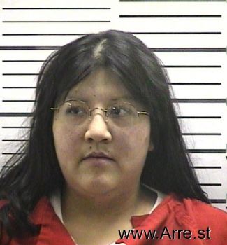 Theresa  Martinez Mugshot