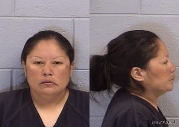 Tiffany Sue Pioche Mugshot