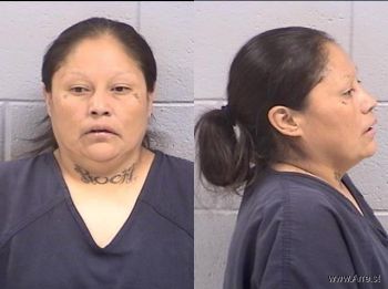 Tiffany Sue Pioche Mugshot