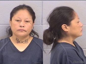 Tiffany Sue Pioche Mugshot