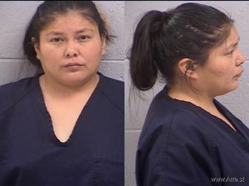 Tina Marie King Mugshot