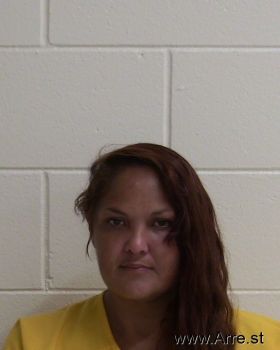 Tina Michelle Shafer Mugshot