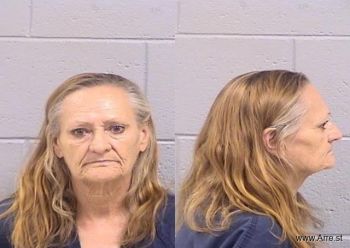 Tina Marie Williams Mugshot