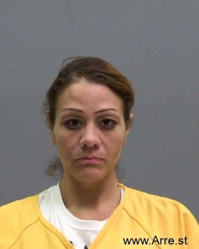 Toniann  Sandoval Mugshot