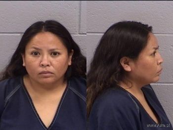 Tracey Lynn Begay Mugshot