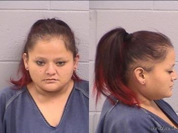 Treena Lynn Shirley Mugshot