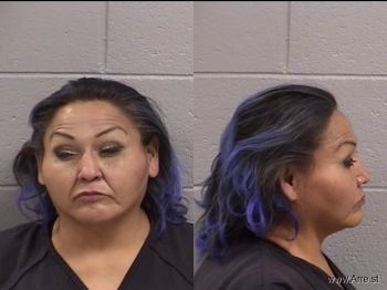 Trina  Benally-tsosie Mugshot