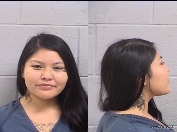 Trishelle  Cayadito Mugshot