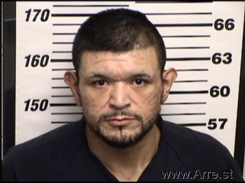 Troy  Lara Mugshot