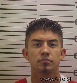 Tyler  Flores Mugshot