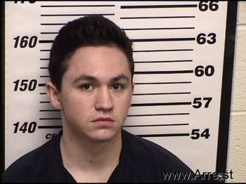 Tyler Young Riley Mugshot